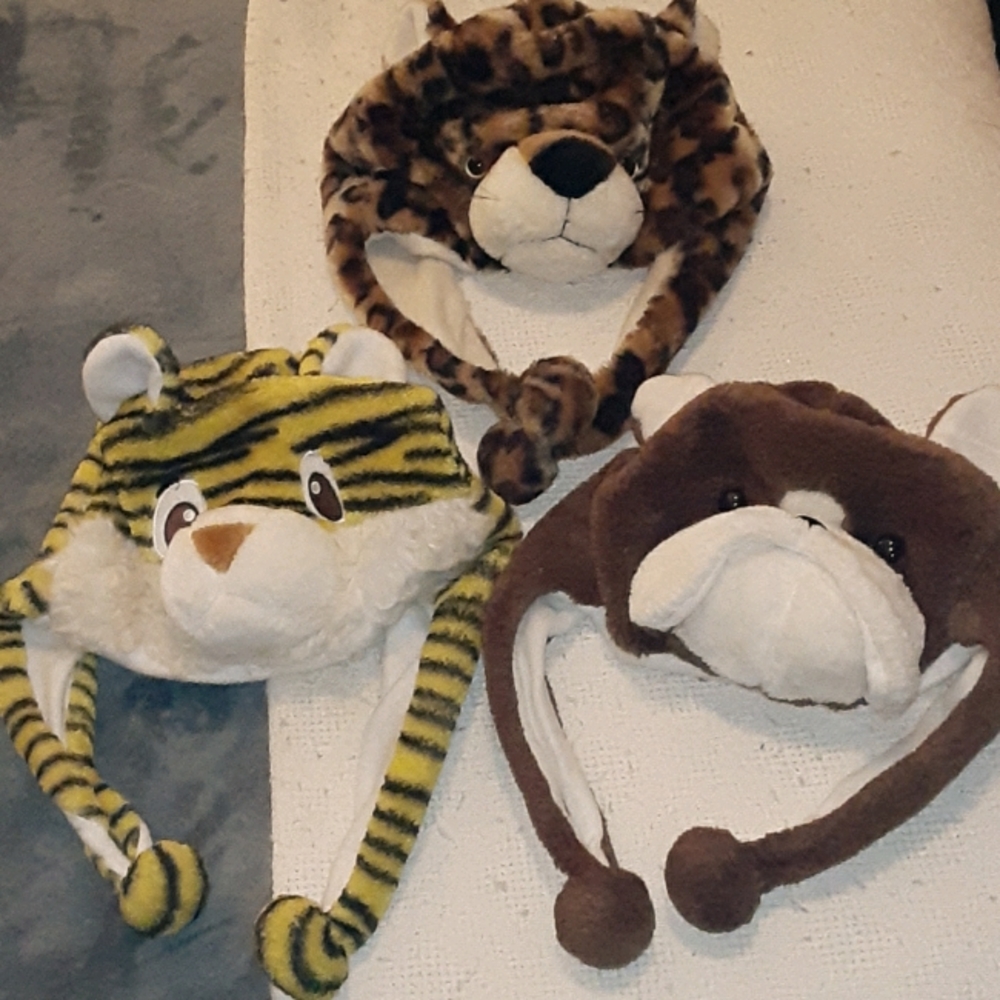 Hats - Picture 1 of 5
